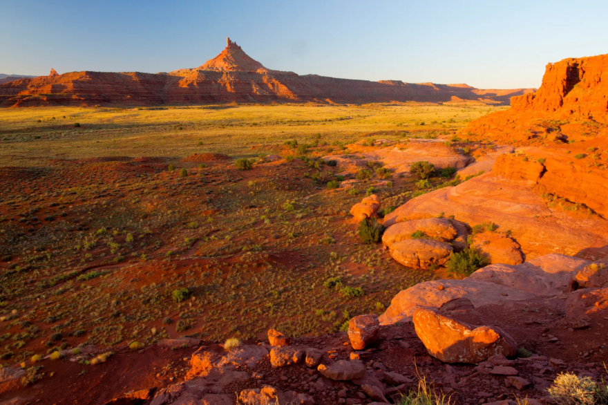 Photo of a desert landscape with some red rock formations as well as some green and yellow flora.