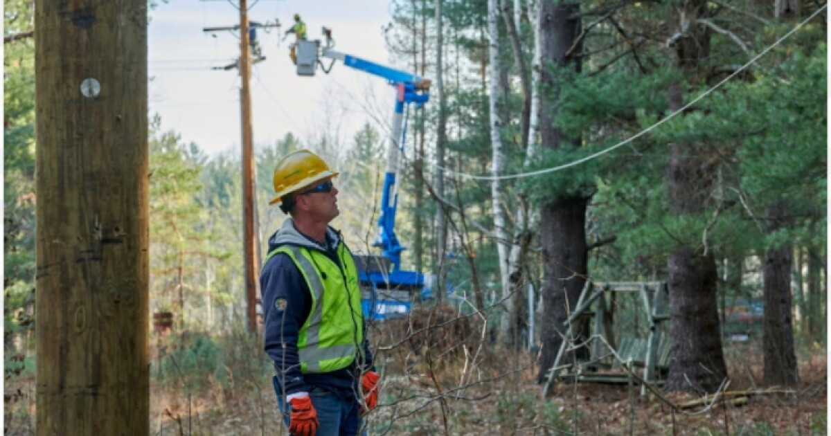 Consumers Energy will clear 8000 miles of trees near power lines this ...