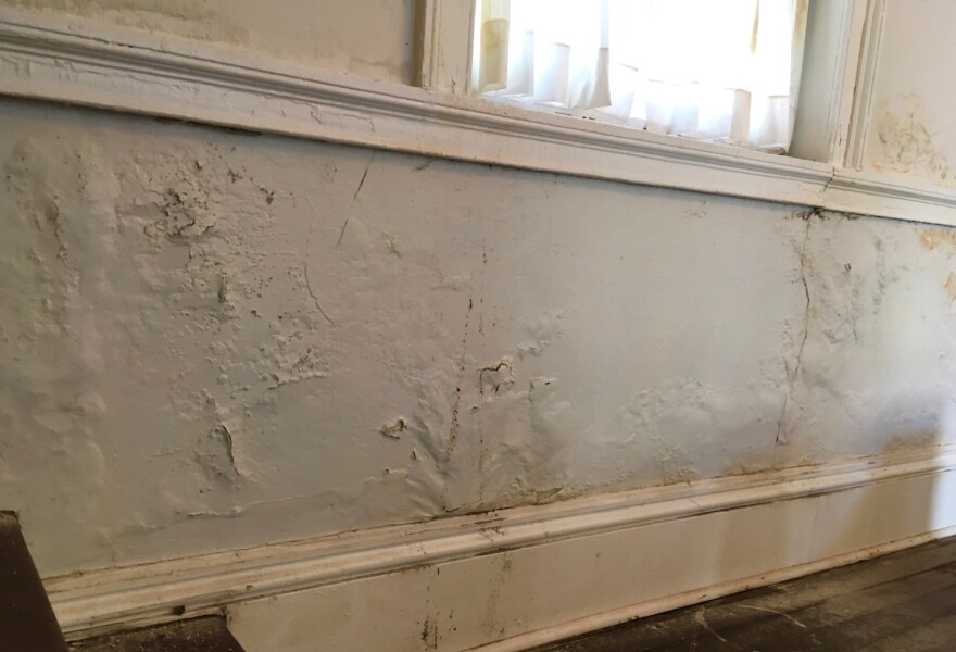 Water damage is evident throughout the Old St. Ferdinand Shrine.