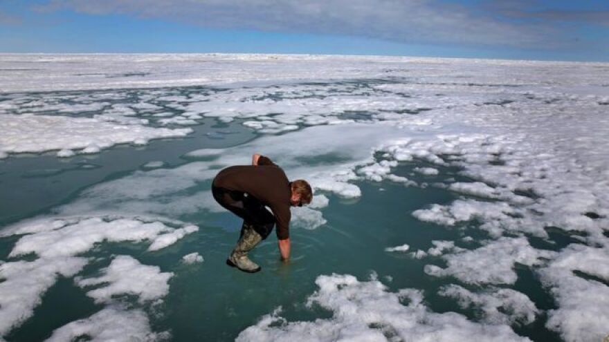 man on ice sheet