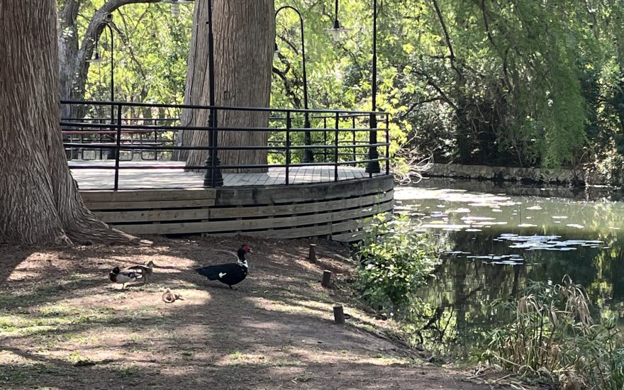 Brackenridge Park near the Koehler Pavilion in San Antonio