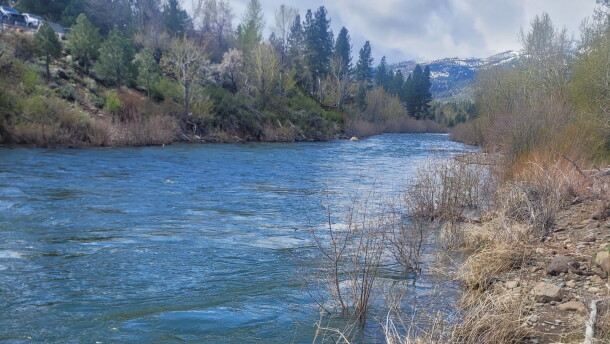 The Truckee River flowing high between tree-lined banks, with snow-covered mountains visible in the distance beneath a partly cloudy sky.
