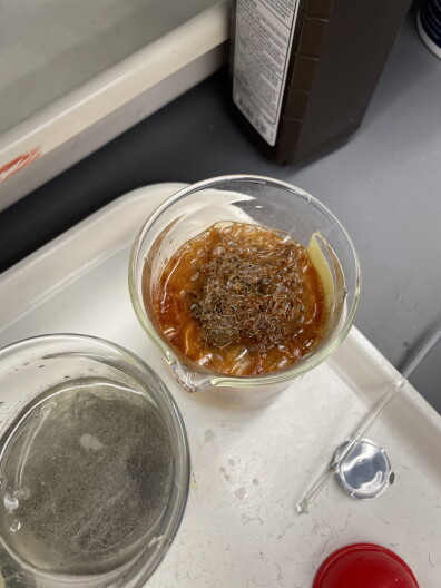 Beaker four has turned into a rusty, bubbling brew after just a few minutes.