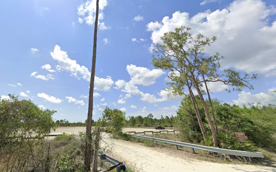 Flint Strand Preserve.