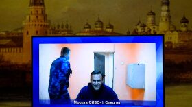 Opposition leader Alexei Navalny appears on a screen set up at a hall of the Moscow Regional Court via a video link from Moscow's penal detention centre Number 1 (known as Matrosskaya Tishina) during a court hearing of an appeal against his arrest, in Krasnogorsk outside Moscow.