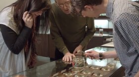 People browsing at a medical marijuana dispensary.