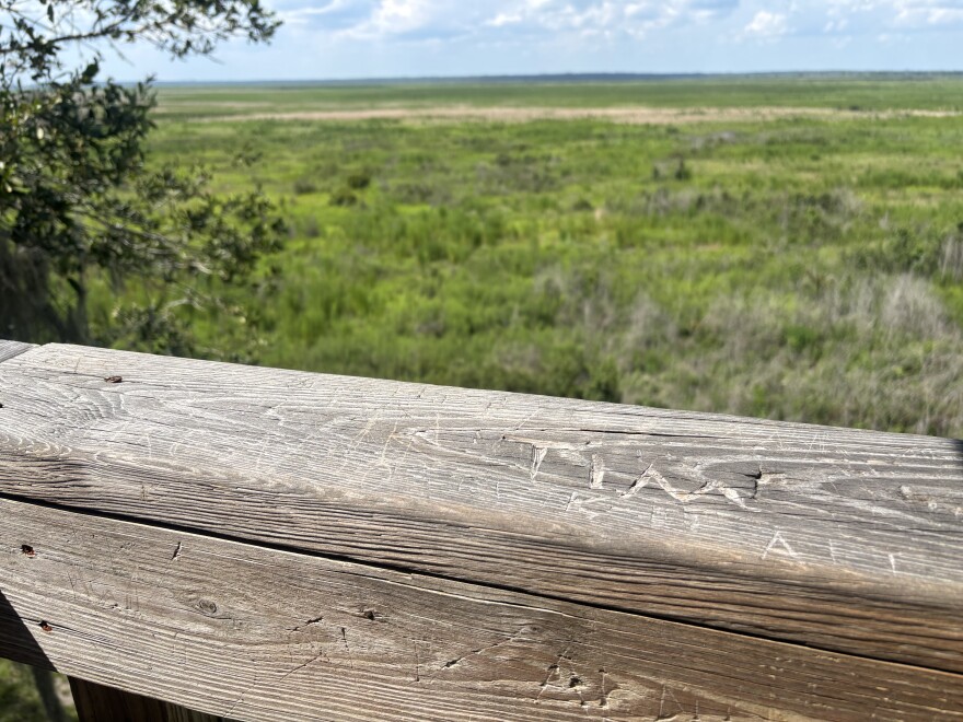 Visitors have carved their names into Paynes Prairie Preserve State Park’s 50-foot-high observation tower. The structure was last rebuilt in 2015 and offers a scenic view of the park.