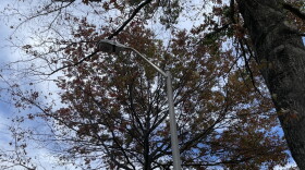 Lexington Streetlight