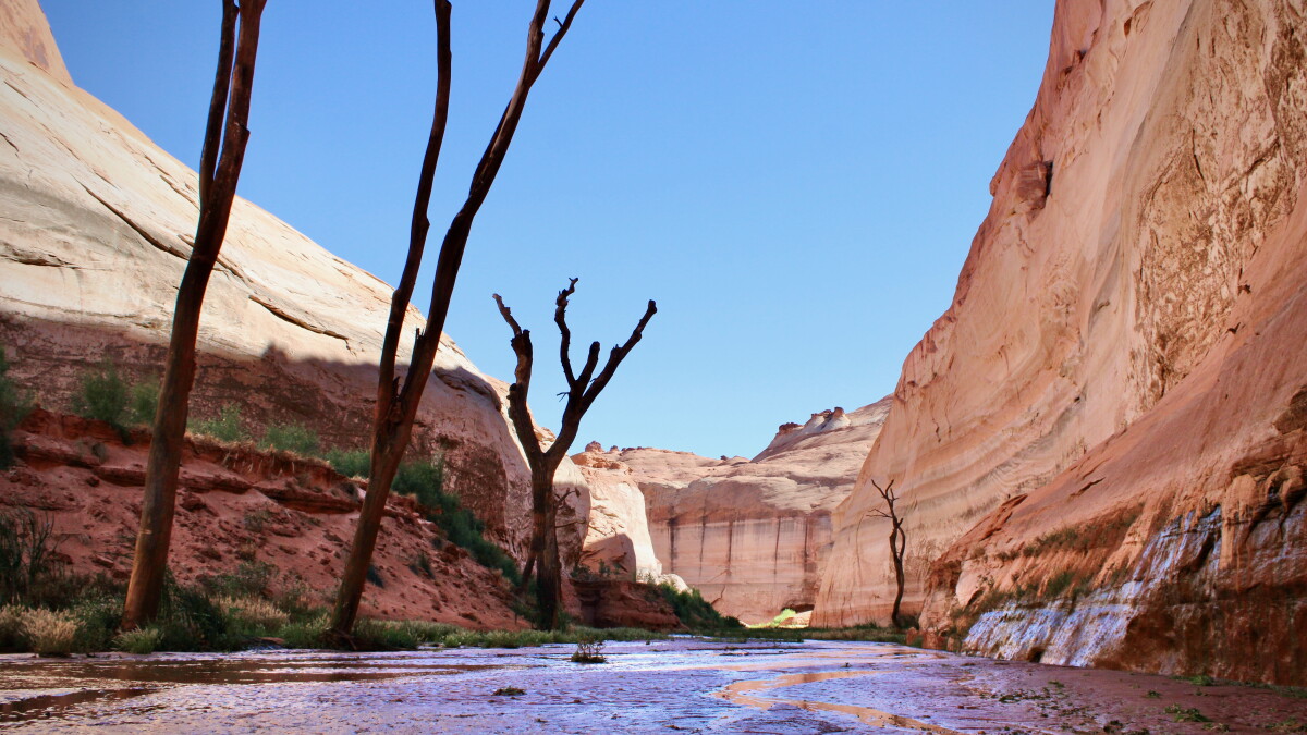 The Thirst Gap examines how to live with less water on the Colorado River - Vimarsana News