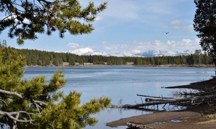 Water-based recreation is being banned along much of the Yellowstone River to help limit the spread of a parasite that appears to be killing fish.