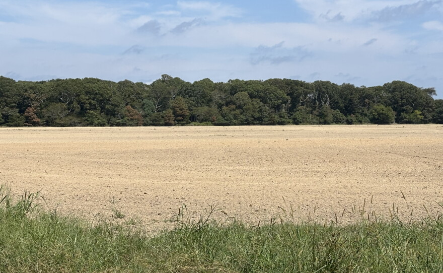 The tract of land in Cape Charles where a resident says aerial pesticide spraying has contributed to health issues, as seen in September 2026.