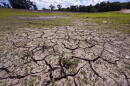 Weeds grow through the cracked soil on what would usually be on the bottom of the Hoppin Hill Reservoir, Wednesday, Aug. 3, 2022, in North Attleboro, Mass. The City of Attleboro, like much of the Northeast, is experiencing drought like conditions. (AP Photo/Charles Krupa)