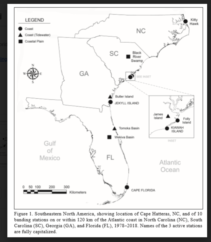 Fewer than a dozen bird banding stations track migrating birds along the southeast Atlantic coast. Only three have been operated consistently.