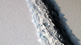 This Nov. 10, 2016 aerial photo released by NASA, shows a rift in the Antarctic Peninsula's Larsen C ice shelf. According to NASA, IceBridge scientists measured the Larsen C fracture to be about 70 miles long, more than 300 feet wide and about a third of a mile deep. (John Sonntag/NASA via AP)