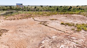 Dinosaur footprints in Black Mesa State Park. More visible footprints are on private property, but the site is closed to the public.