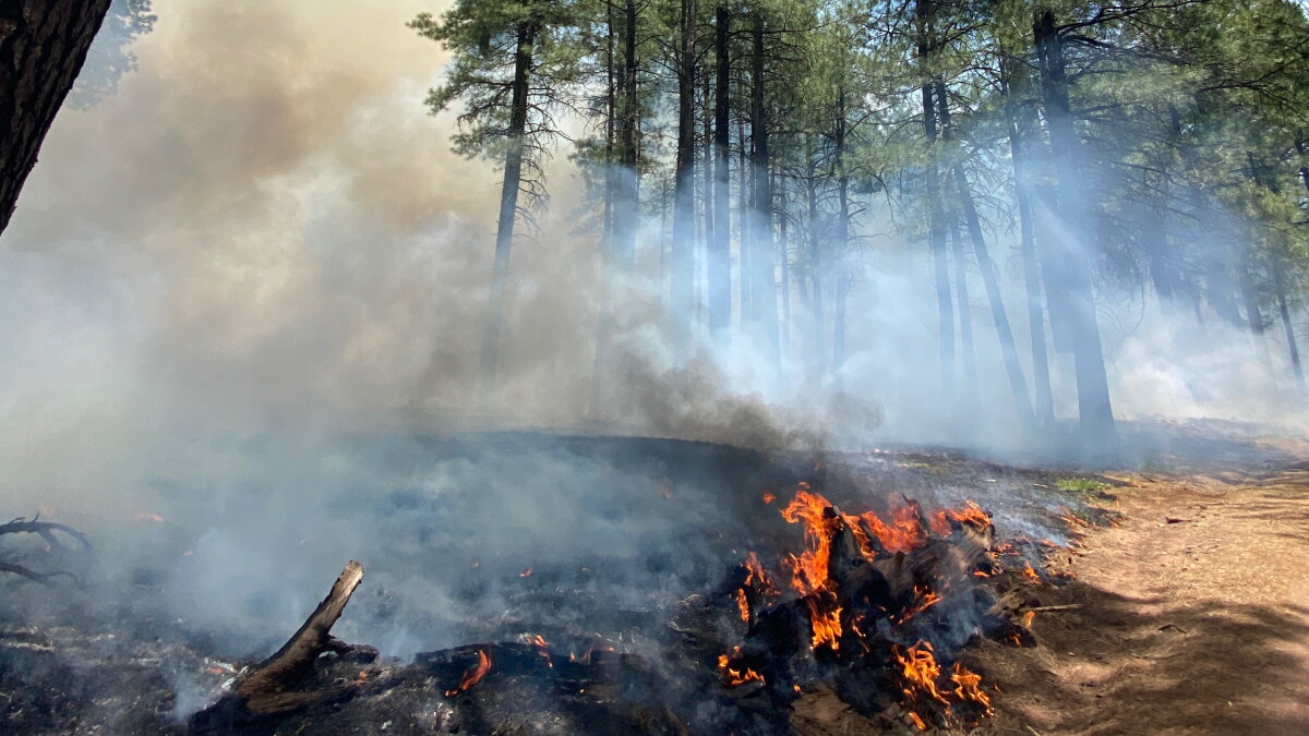 Smoke from prescribed burn near Flagstaff to taper off through weekend - Vimarsana News