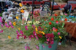 Mimbres Valley Harvest Festival 2012 photo by Nancy R. Coinman