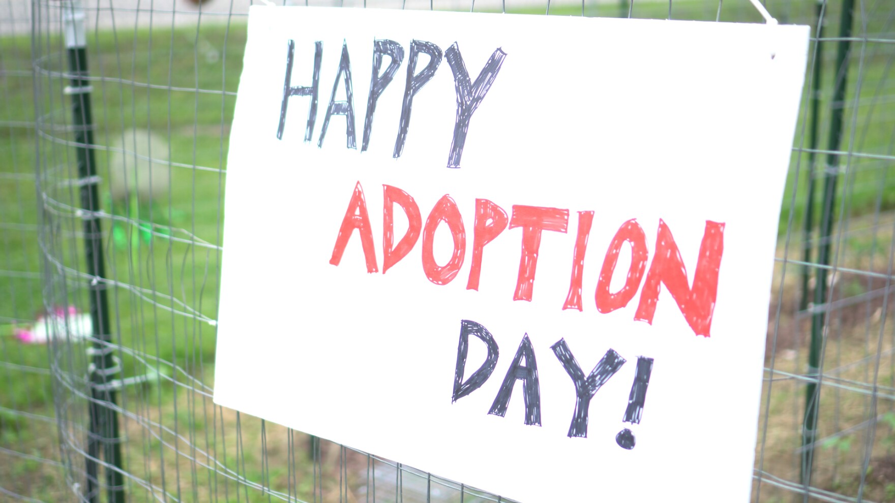 adoption_day.jpg