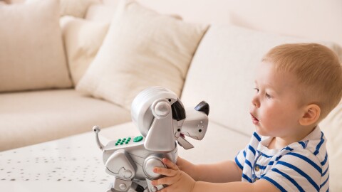 A toddler plays with a robot dog.