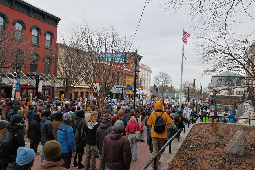 A large crowd of people line a street in downtown Burlington
