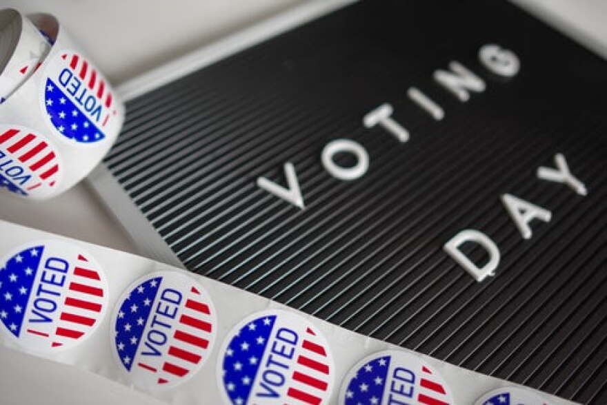 Mid Term Elections Guide