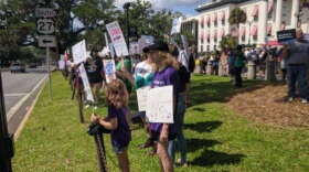 Demonstrators lined up in front of the Historic Florida Capitol to wave signs in support of their cause. (Tom Flanigan/WFSU)