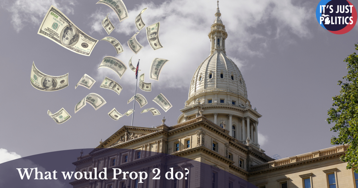 Proposal 2 is on your ballot. What would it do?