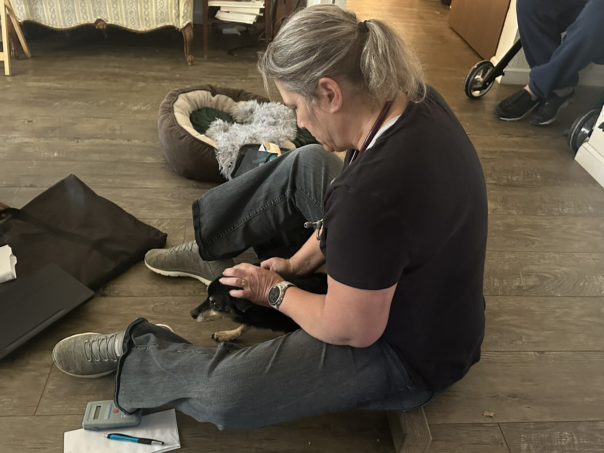 Why choose a mobile vet clinic for your pet? episode artwork