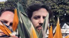 Two men partially hide their faces behind a plant with thick leaves while standing in front of a large tree.