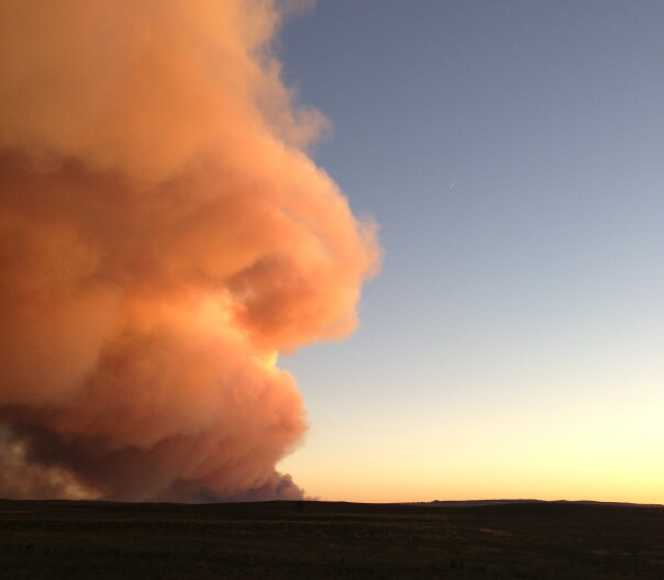 Smoke rises from the Black Forest Fire near Colorado Springs.