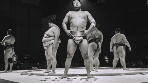 Sumo + Sushi takes place October 16 through 18 at The Hangar at Regatta Harbour in Coconut Grove