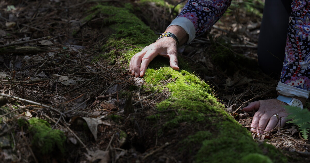 At Cumming Nature Center, a big find of a tiny creature