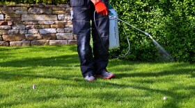 A grounds worker wearing red gloves uses a handheld sprayer to apply chemicals to a green lawn beside a stone retaining wall and shrubs.