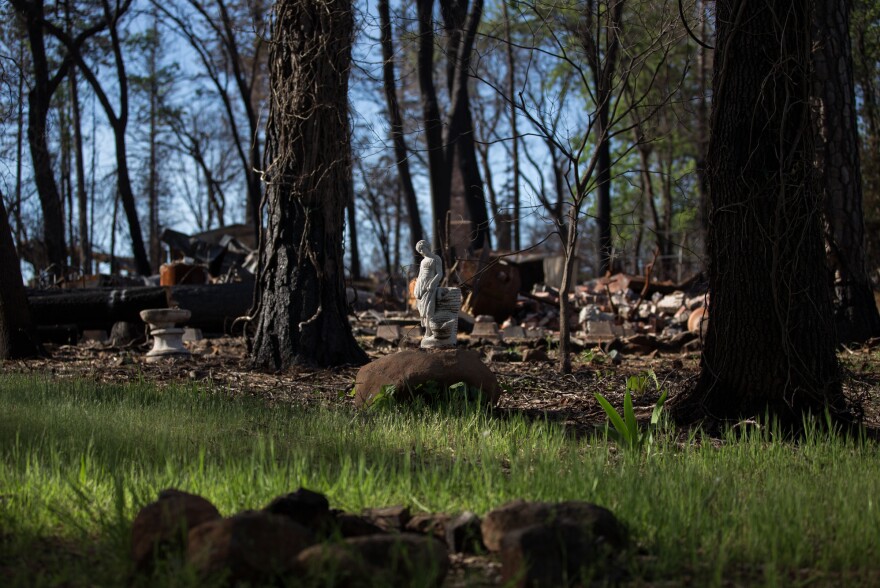 Grass and flowers have begun to grow back around debris in a neighborhood off Bille Road in Paradise. Some official estimates say the debris removal could take years.