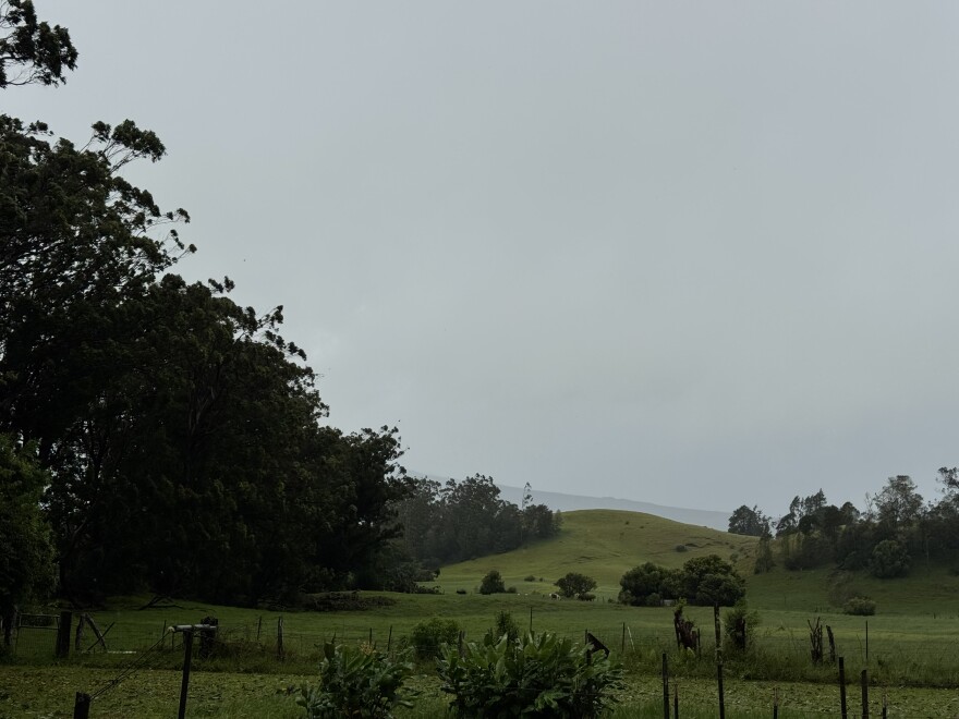 Hurricane Lala brought heavy rains and strong winds to Waimea on Hawaiʻi Island on Saturday morning.