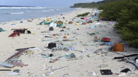 In this 2015 photo provided by Jennifer Lavers, plastic debris is strewn on the beach on Henderson Island. When researchers traveled to the tiny, uninhabited island in the middle of the Pacific Ocean, they were astonished to find an estimated 38 million pieces of trash washed up on the beaches. (Jennifer Lavers via AP)
