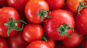 A bunch of tomatoes