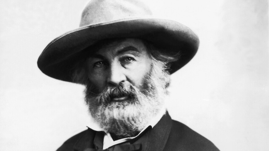 In 1852 — three years before <em>Leaves of Grass</em> — Walt Whitman anonymously published a short novel, in six parts, in New York's <em>Sunday Dispatch</em>.