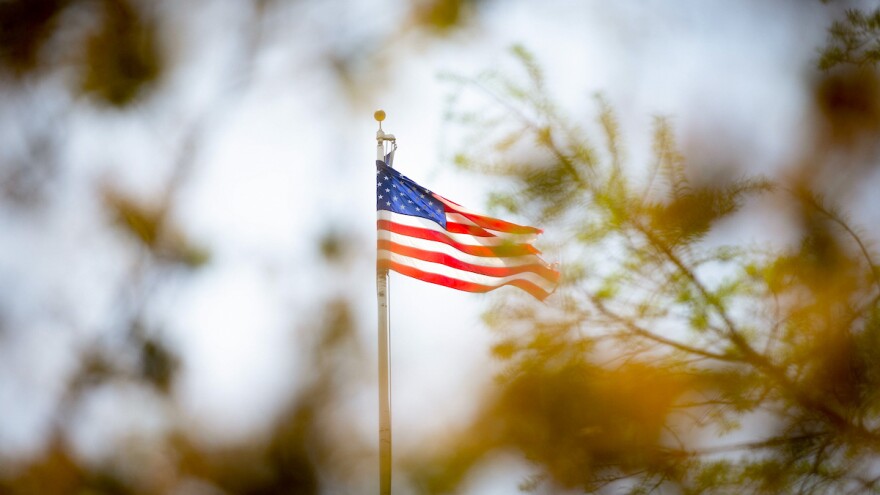 American flag waving on a pole, partially obscured by blurry foreground foliage.