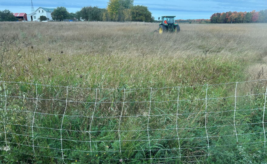 Electric fencing lines the pastures of Miller's farm in Engadine, Michigan.