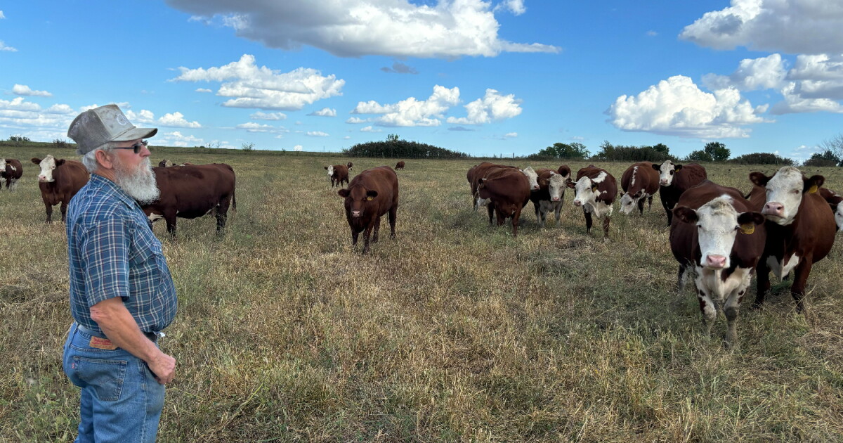 Federal drought relief policies leave some farmers out to dry | KCUR ...