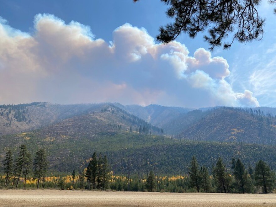 The Boundary Fire, which is located about 24 miles northwest of Stanley in Idaho’s Frank Church River of No Return Wilderness, has burned more than 84,000 acres since it was detected on Aug. 10. (Courtesy of the Salmon-Challis National Forest)
