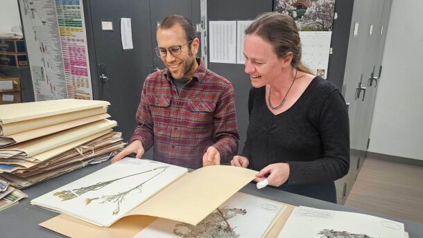 Botany professors Jim Cohen and Heather Root leaf through plant specimens in their Weber State University lab in Ogden, March 10, 2026.