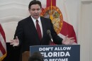 Florida Gov. Ron DeSantis speaks at a news conference 