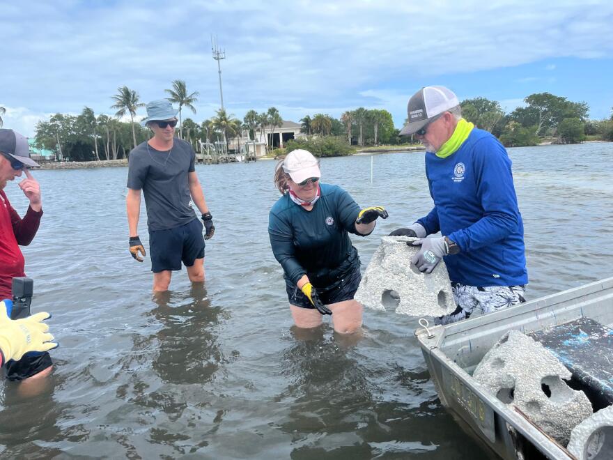 Staff and volunteers placing oyster reef balls for Lagoon restoration project