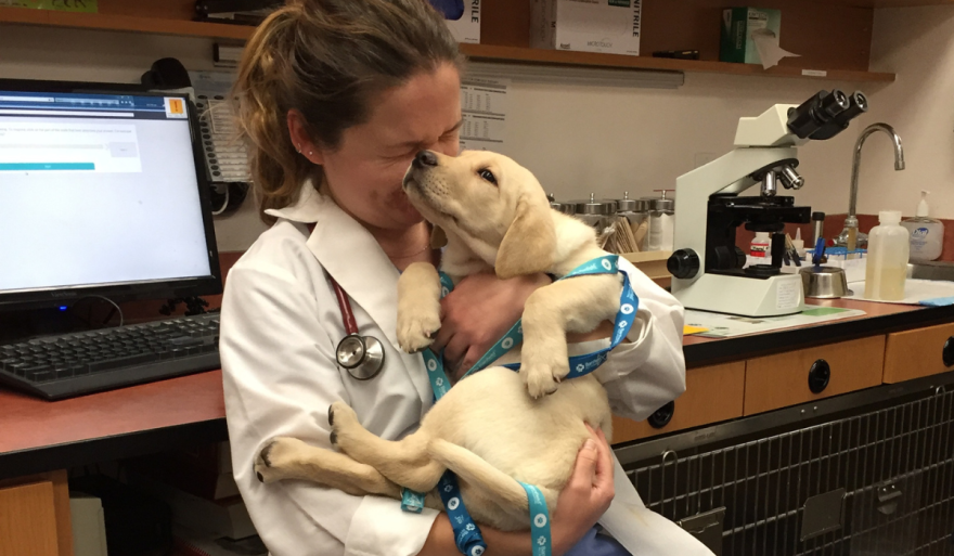 Dr. Emily Yavaraski, a veterinarian who provides in-home pet euthanasia, is seen with a pet dog.
