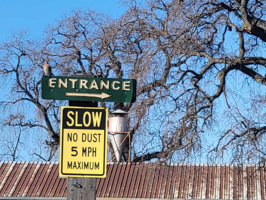 A bird perches on a sign on Patrick Ranch in Durham, Calif. on Jan. 23, 2025.