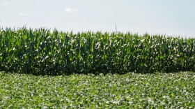 Los legisladores de Illinois buscan apoyar a los agricultores mientras enfrentan problemas financieros debido a los aranceles, la inflación y un mercado exterior más competitivo.