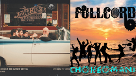 Sinkevics' picks for the best new releases out of West Michigan include a mix of blues, funk, and bluegrass. 