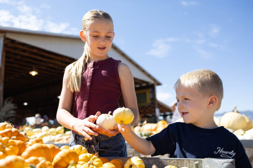 Two children hold small yellow and orange pumpkins